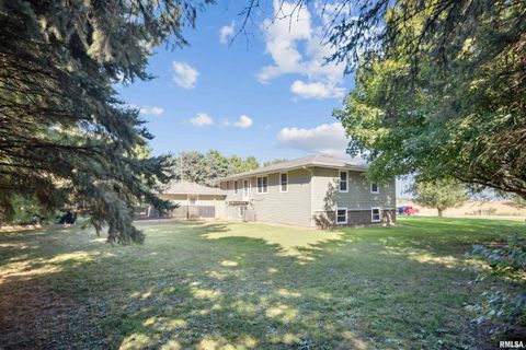 Tiny photo for 1374 290TH Avenue, Charlotte, IA 52731 (MLS # QC4268219)