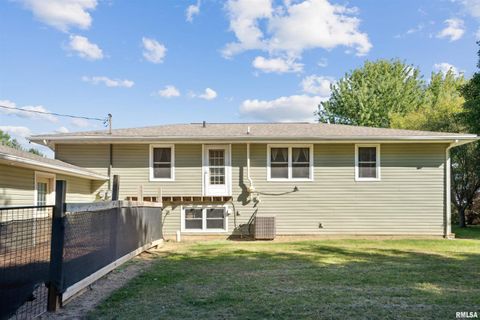 Tiny photo for 1374 290TH Avenue, Charlotte, IA 52731 (MLS # QC4268219)