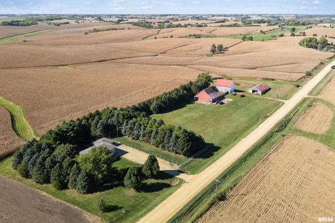 Tiny photo for 1374 290TH Avenue, Charlotte, IA 52731 (MLS # QC4268219)