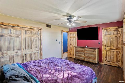 Tiny photo for 1374 290TH Avenue, Charlotte, IA 52731 (MLS # QC4268219)