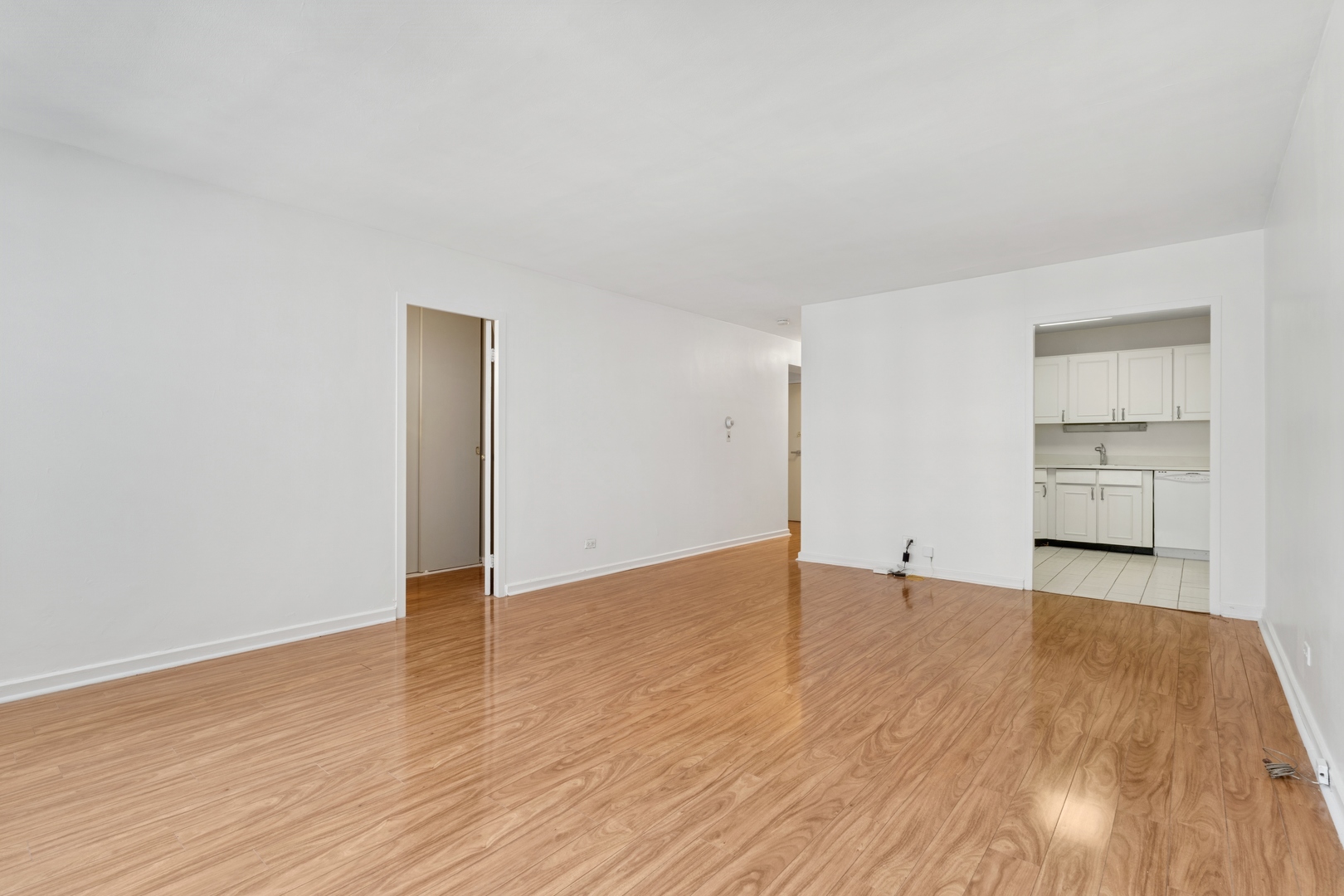 253 E Delaware Place 5B