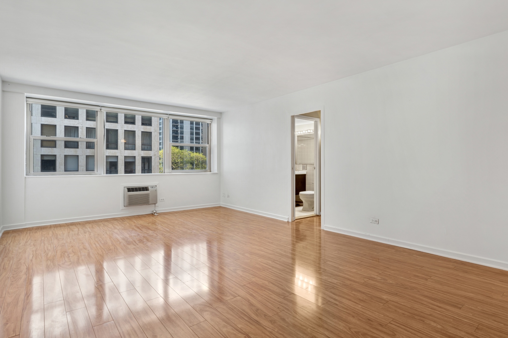 253 E Delaware Place 5B
