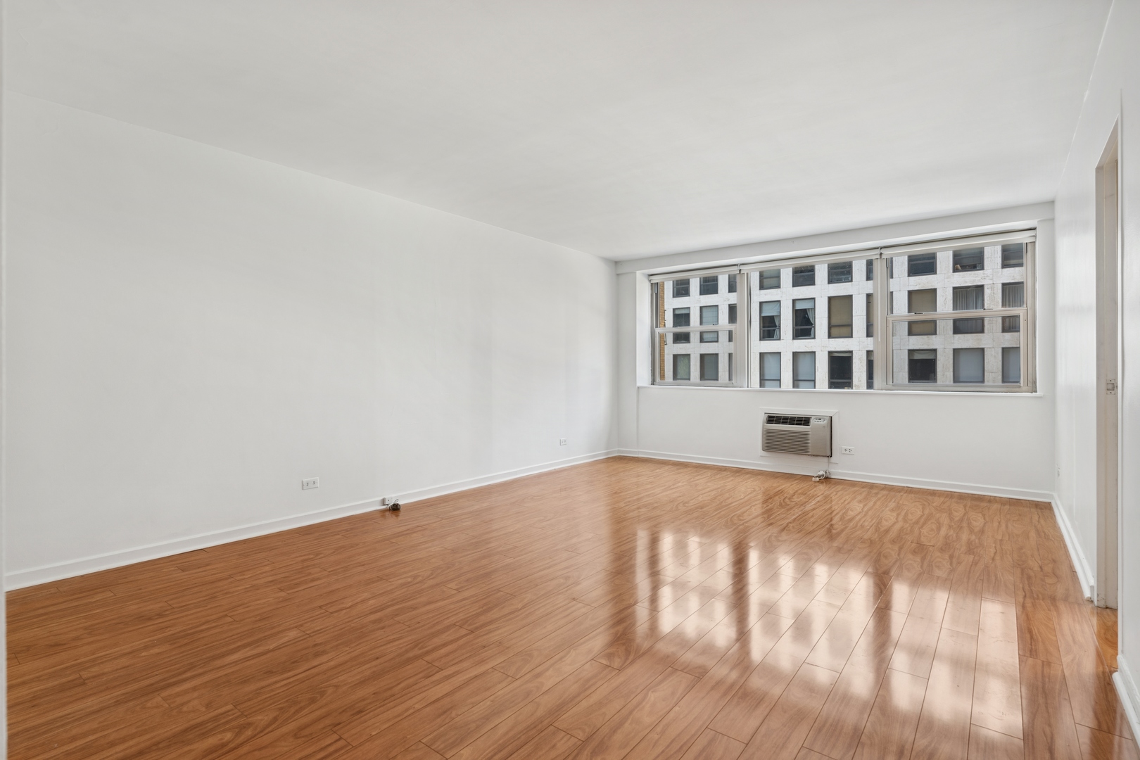 253 E Delaware Place 5B