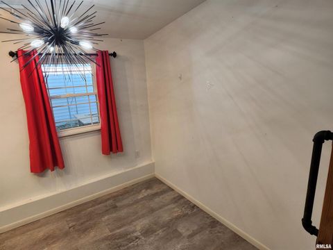 Tiny photo for 510 N MAIN Street, Woodlawn, IL 62898 (MLS # EB459915)