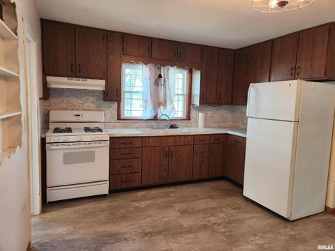 Tiny photo for 510 N MAIN Street, Woodlawn, IL 62898 (MLS # EB459915)