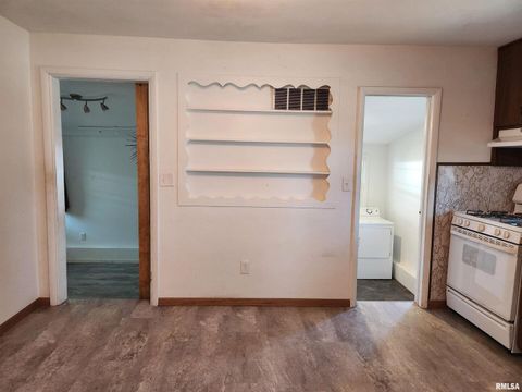 Tiny photo for 510 N MAIN Street, Woodlawn, IL 62898 (MLS # EB459915)