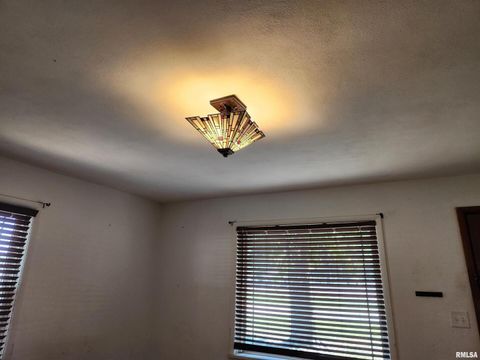 Tiny photo for 510 N MAIN Street, Woodlawn, IL 62898 (MLS # EB459915)