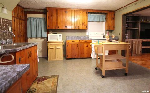 Tiny photo for 1316 FLORENCE Avenue, Clinton, IA 52732 (MLS # QC4269402)