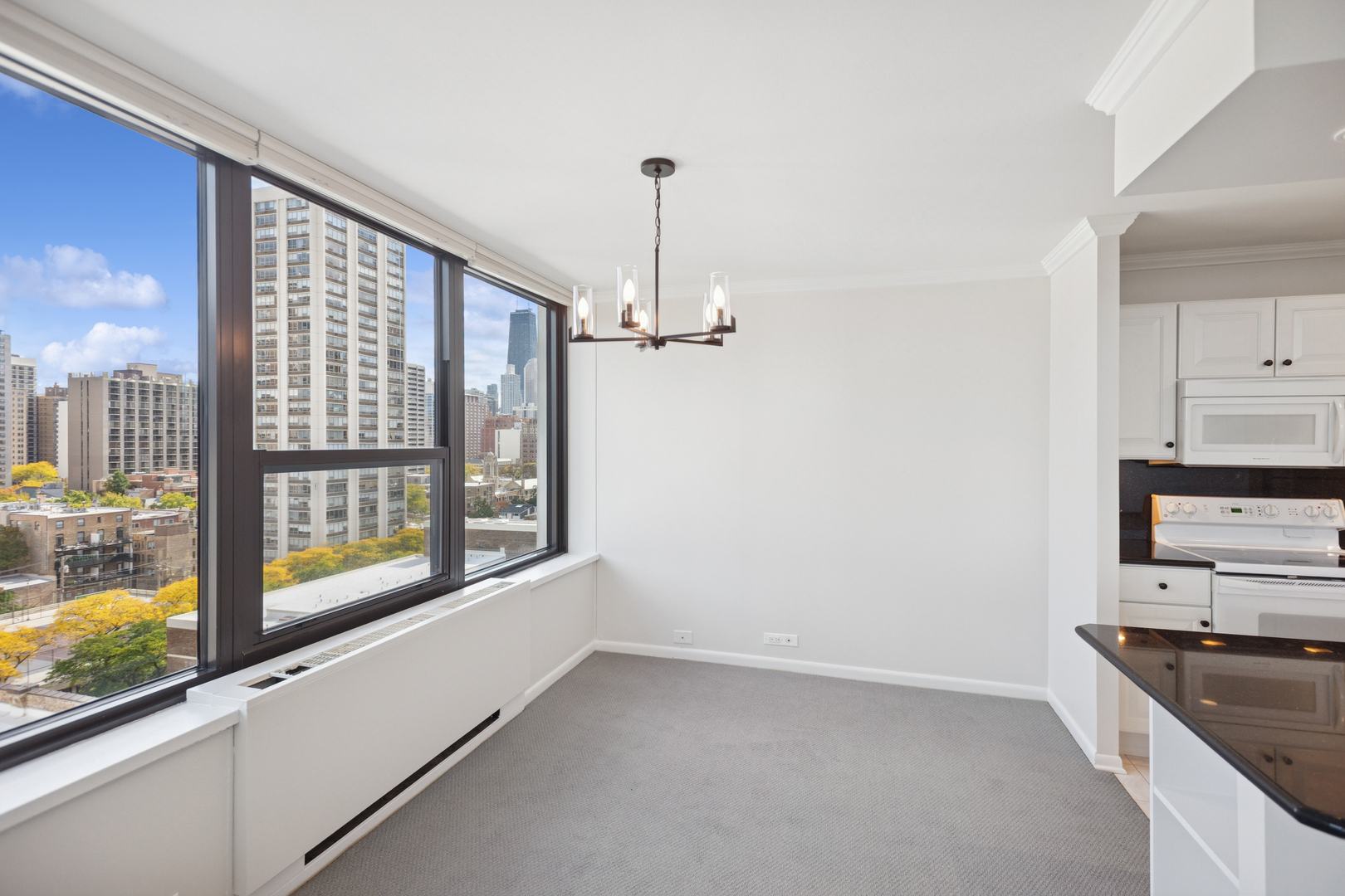 1560 N Sandburg Terrace 1412