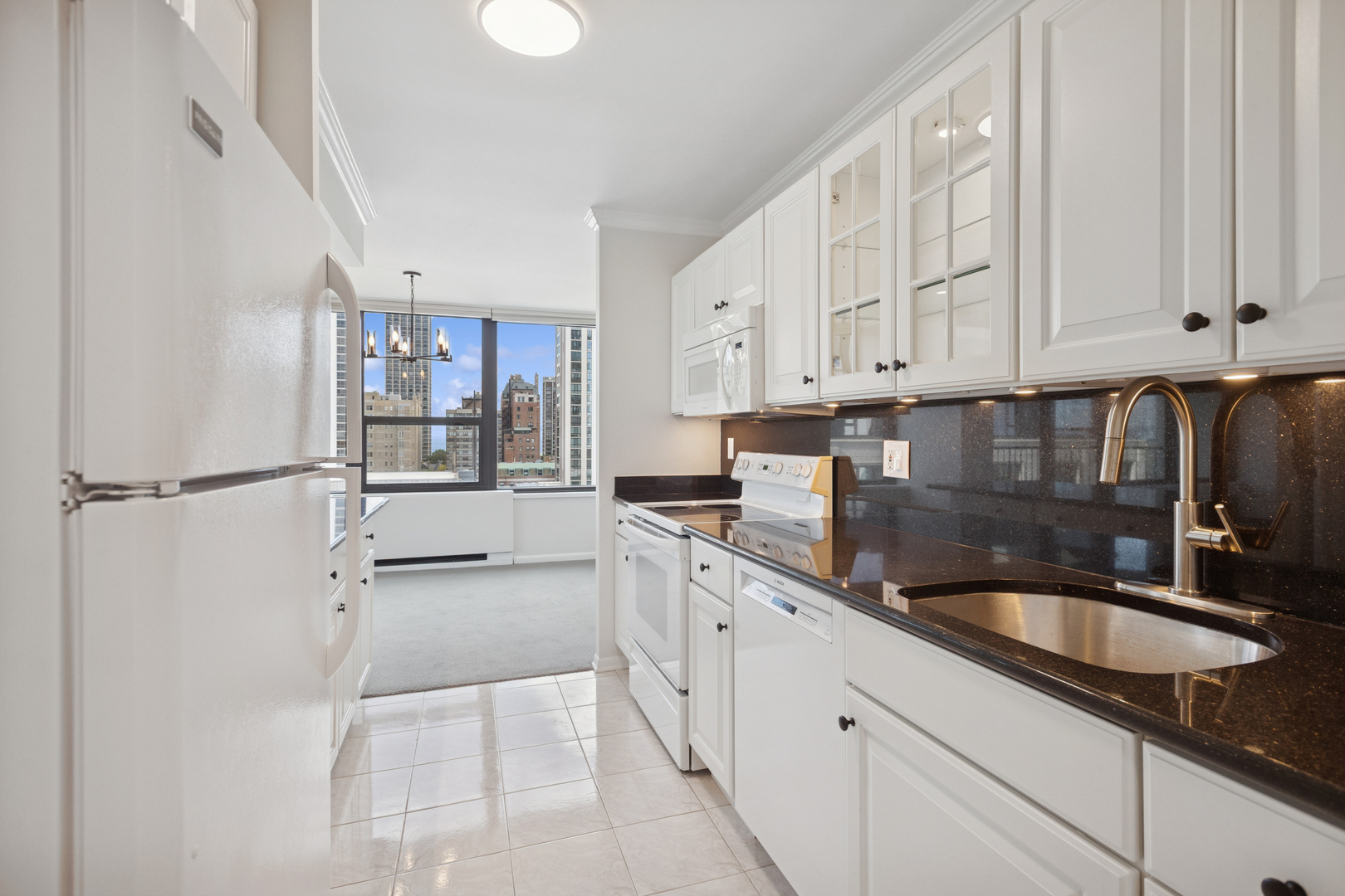 1560 N Sandburg Terrace 1412