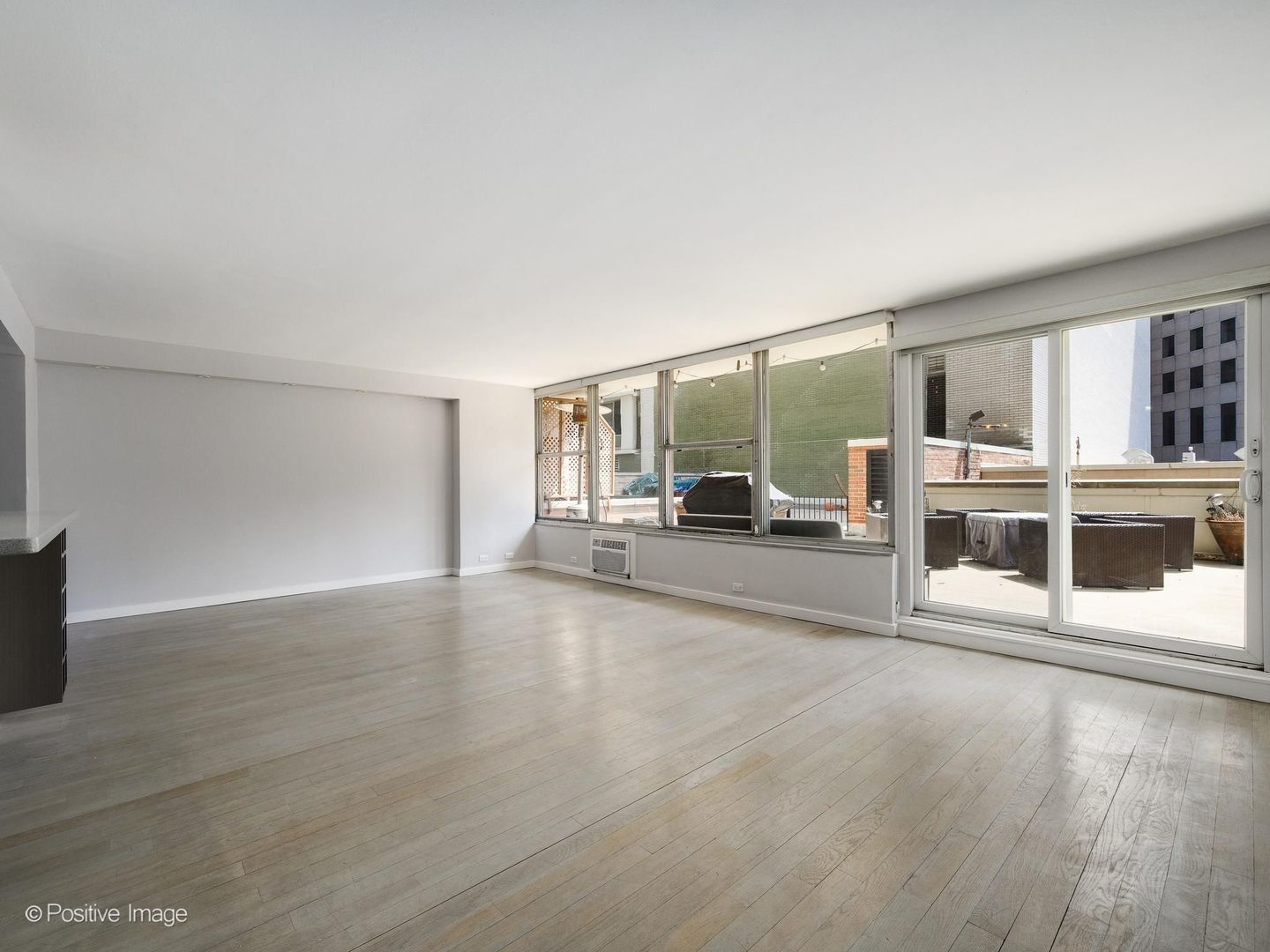 1000 N Lake Shore Drive 301