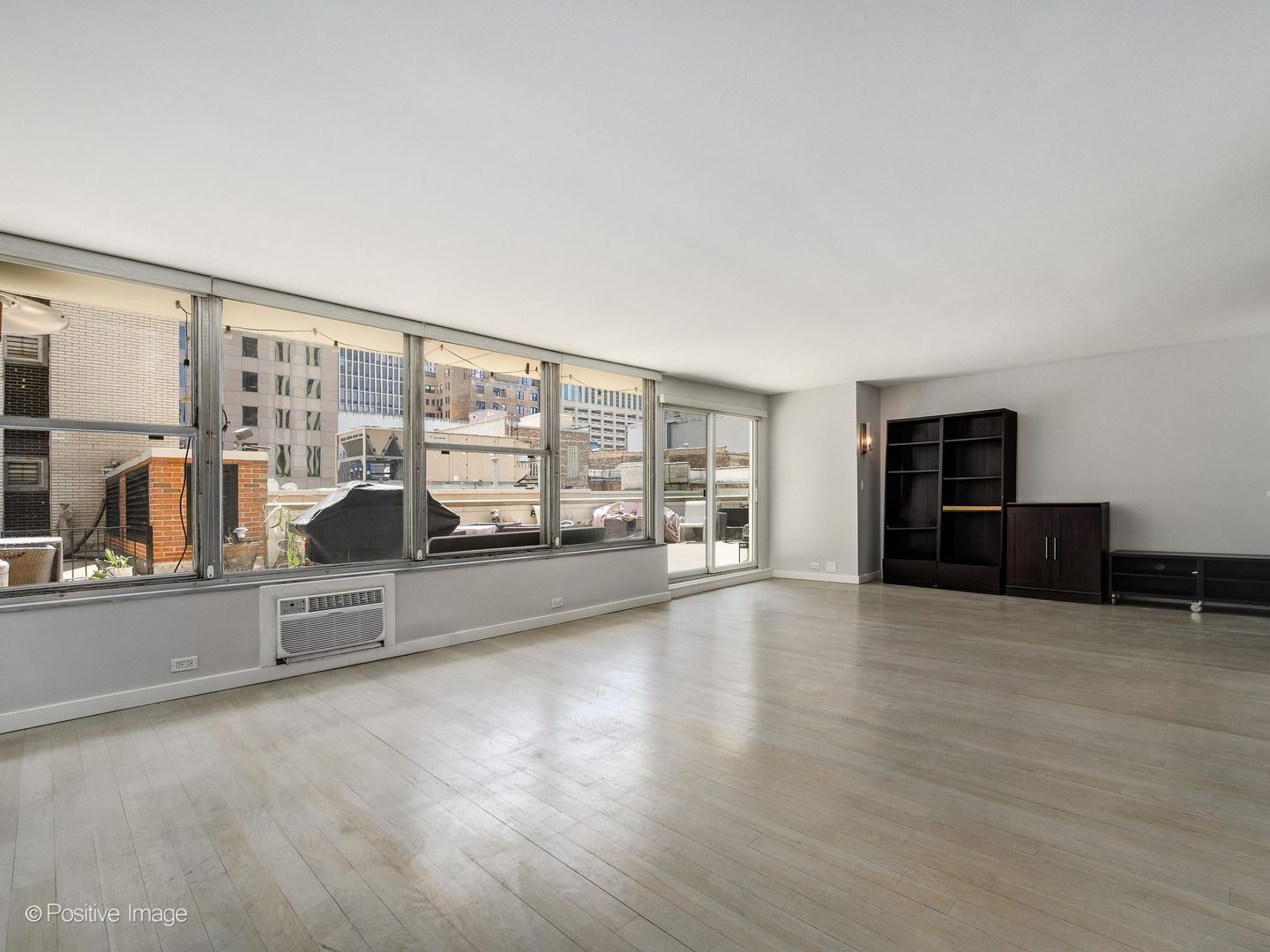 1000 N Lake Shore Drive 301