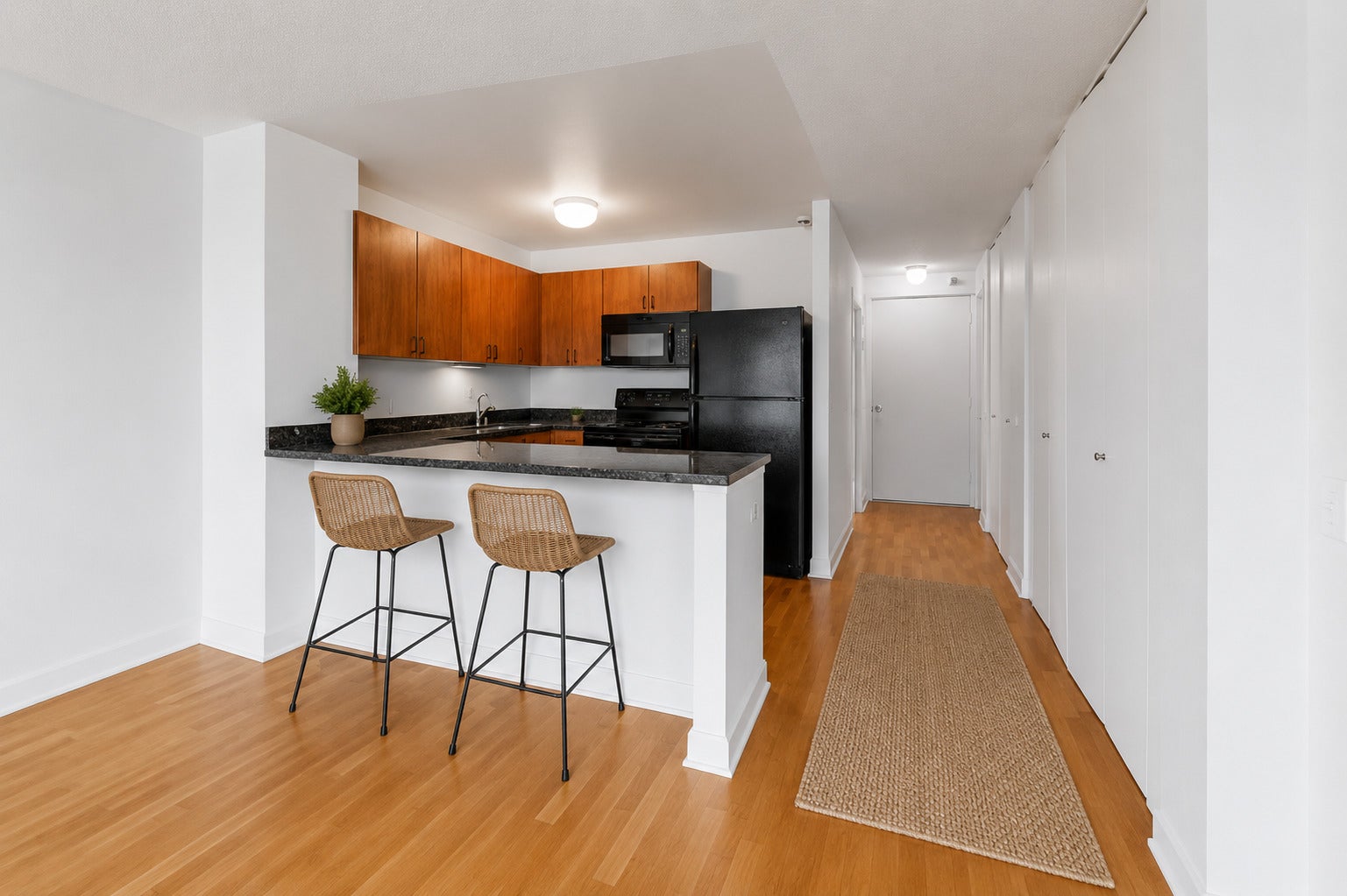 474 N Lake Shore Drive 2007