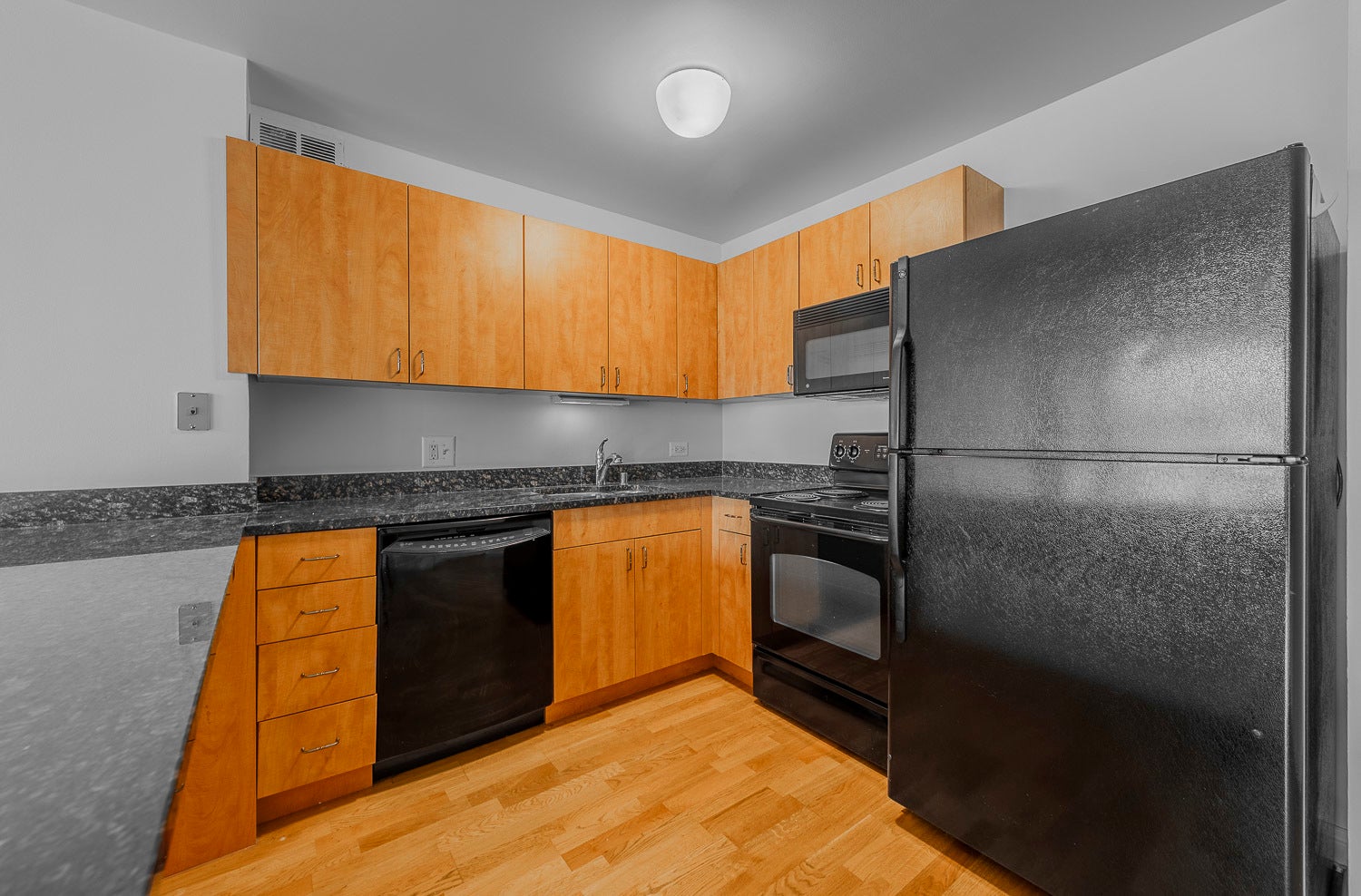 474 N Lake Shore Drive 2007