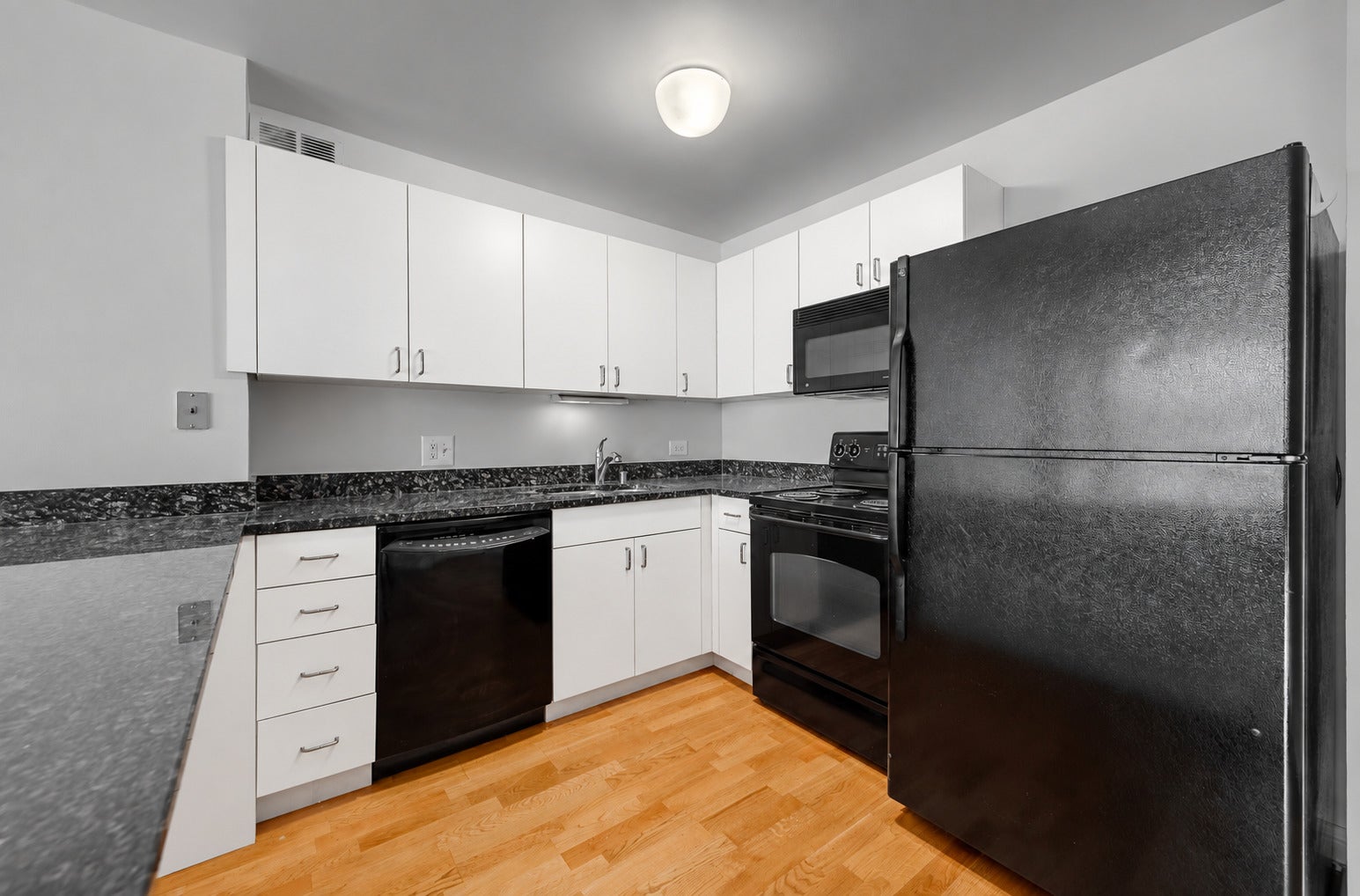 474 N Lake Shore Drive 2007