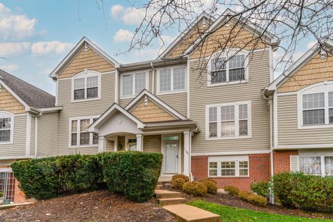 1182 Georgetown Way Vernon Hills IL 60061