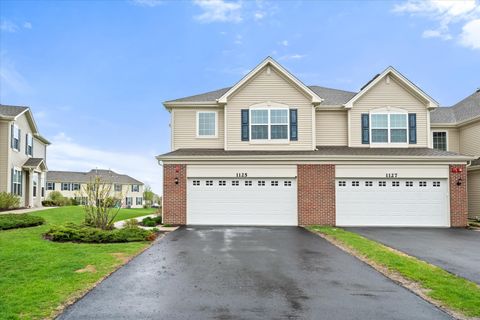 Photo of 1125 Hawk Hollow Drive, Yorkville, IL 60560 (MLS # 12620275)