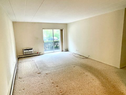 Tiny photo for 1052 Mill Street #110, Naperville, IL 60540 (MLS # 12629170)