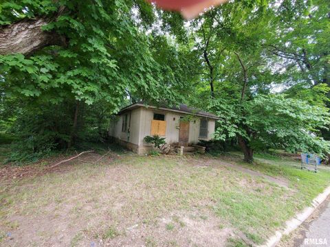 Photo of 609 N Carico Street, Carbondale, IL 62901 (MLS # EB458602)