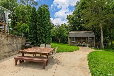 Tiny photo for 141 Pump Station Rd Road, Makanda, IL 62958 (MLS # 12600135)