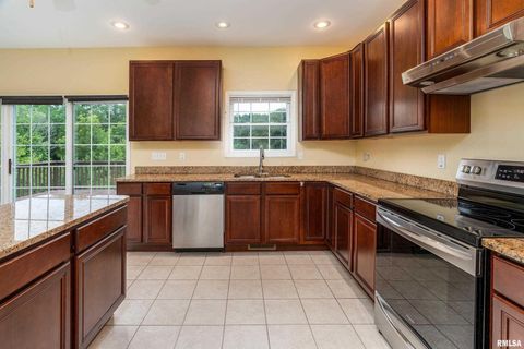 Tiny photo for 141 Pump Station Rd Road, Makanda, IL 62958 (MLS # 12600135)