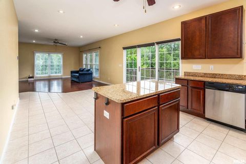 Tiny photo for 141 Pump Station Rd Road, Makanda, IL 62958 (MLS # 12600135)