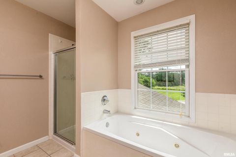 Tiny photo for 141 Pump Station Rd Road, Makanda, IL 62958 (MLS # 12600135)