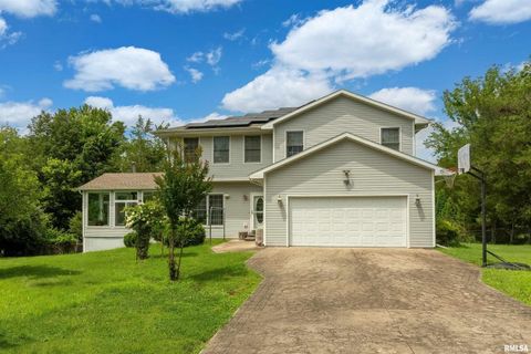 Photo of 141 Pump Station Rd Road, Makanda, IL 62958 (MLS # 12600135)