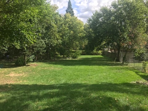 Featured picture for the property 11752268
