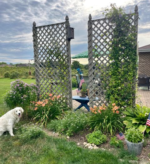 Tiny photo for 16146 W Oak Avenue, Joliet, IL 60432 (MLS # 12471573)