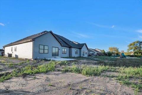 Tiny photo for 1195 S Farmstone Drive, Diamond, IL 60416 (MLS # 12505635)