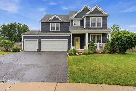 Photo of 911 Millard Court, Joliet, IL 60431 (MLS # 12665715)