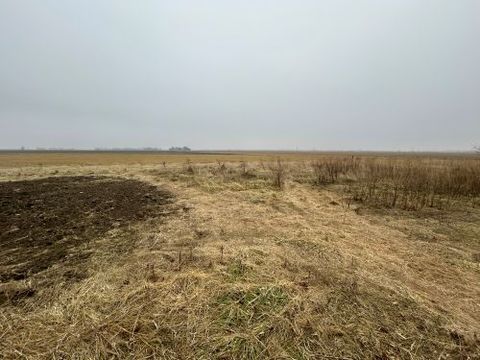 Tiny photo for 10940 S Dwight Road, Dwight, IL 60420 (MLS # 12526361)