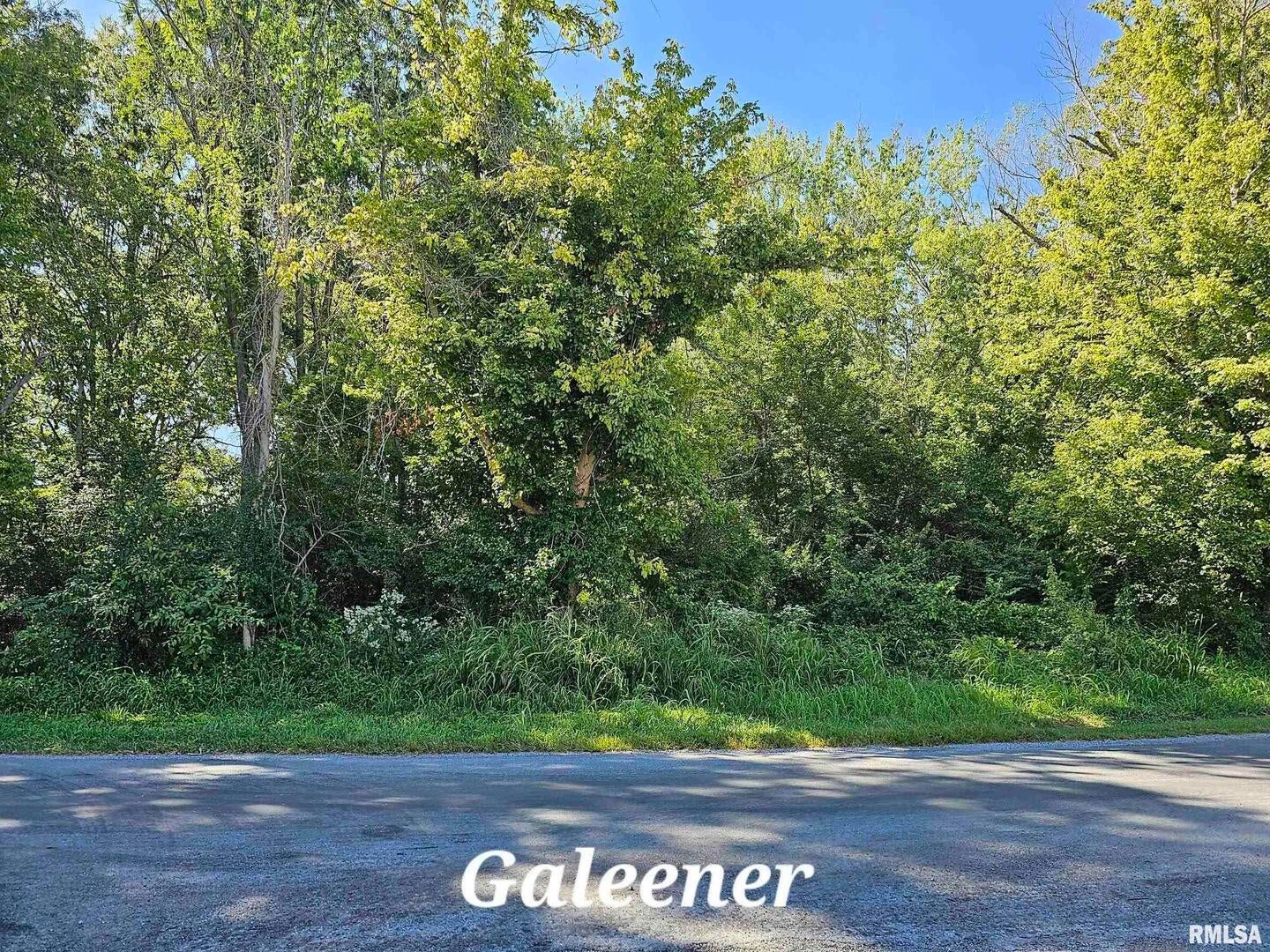 TBD Galeener Street
