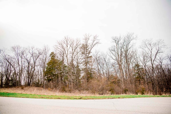 4610 BARBARA JANE CT, QUINCY, IL 62305 - Image ef7eb0b13dc6cb4215d506cbc0d5afd9/862687066