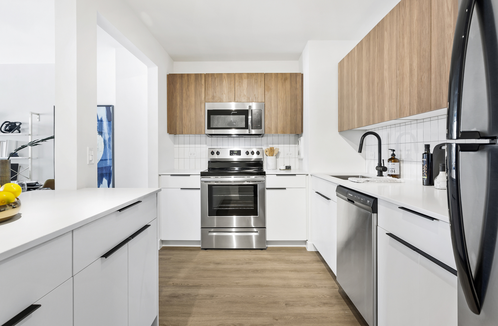 1250 N LaSalle Street 1008