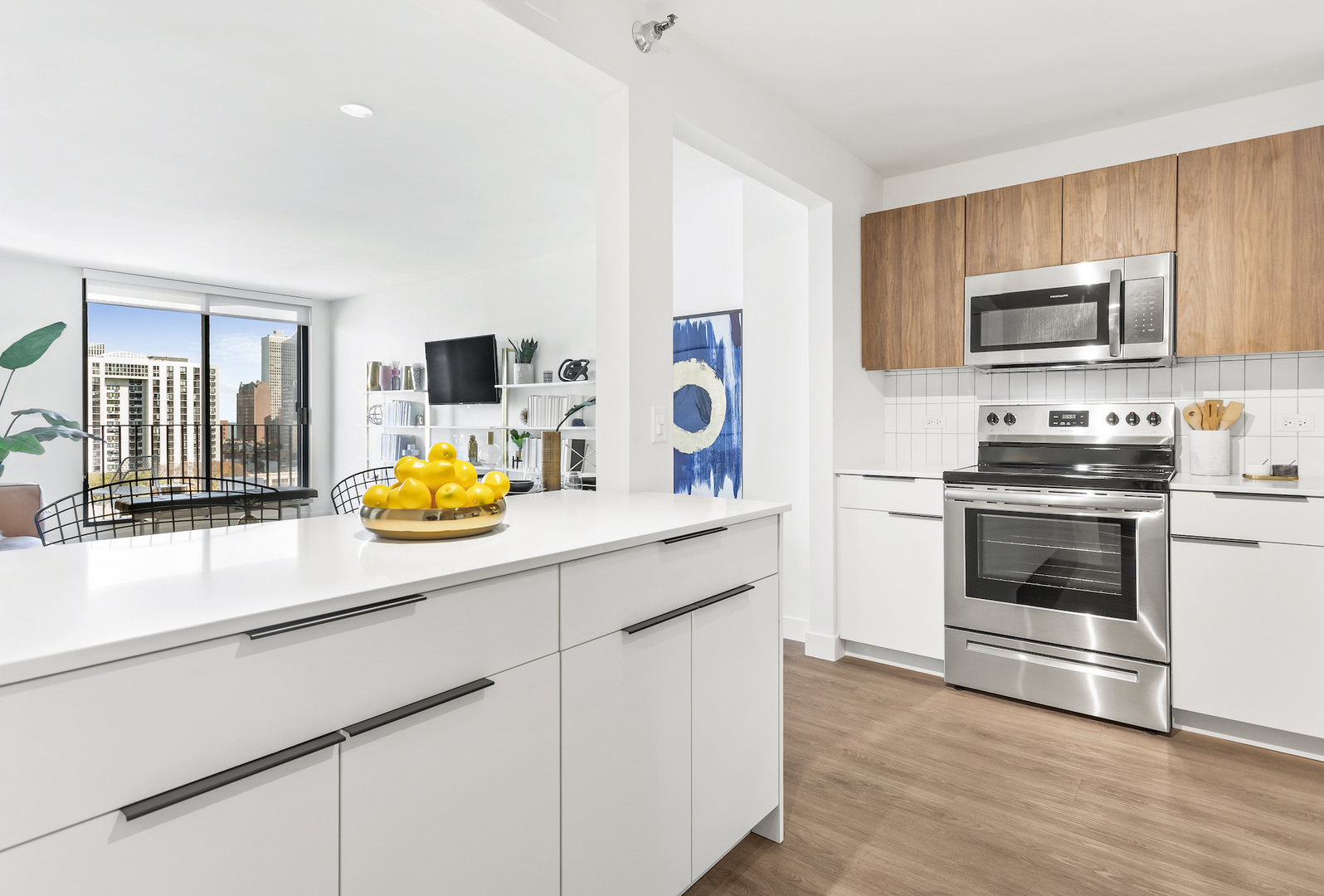 1250 N LaSalle Street 1008