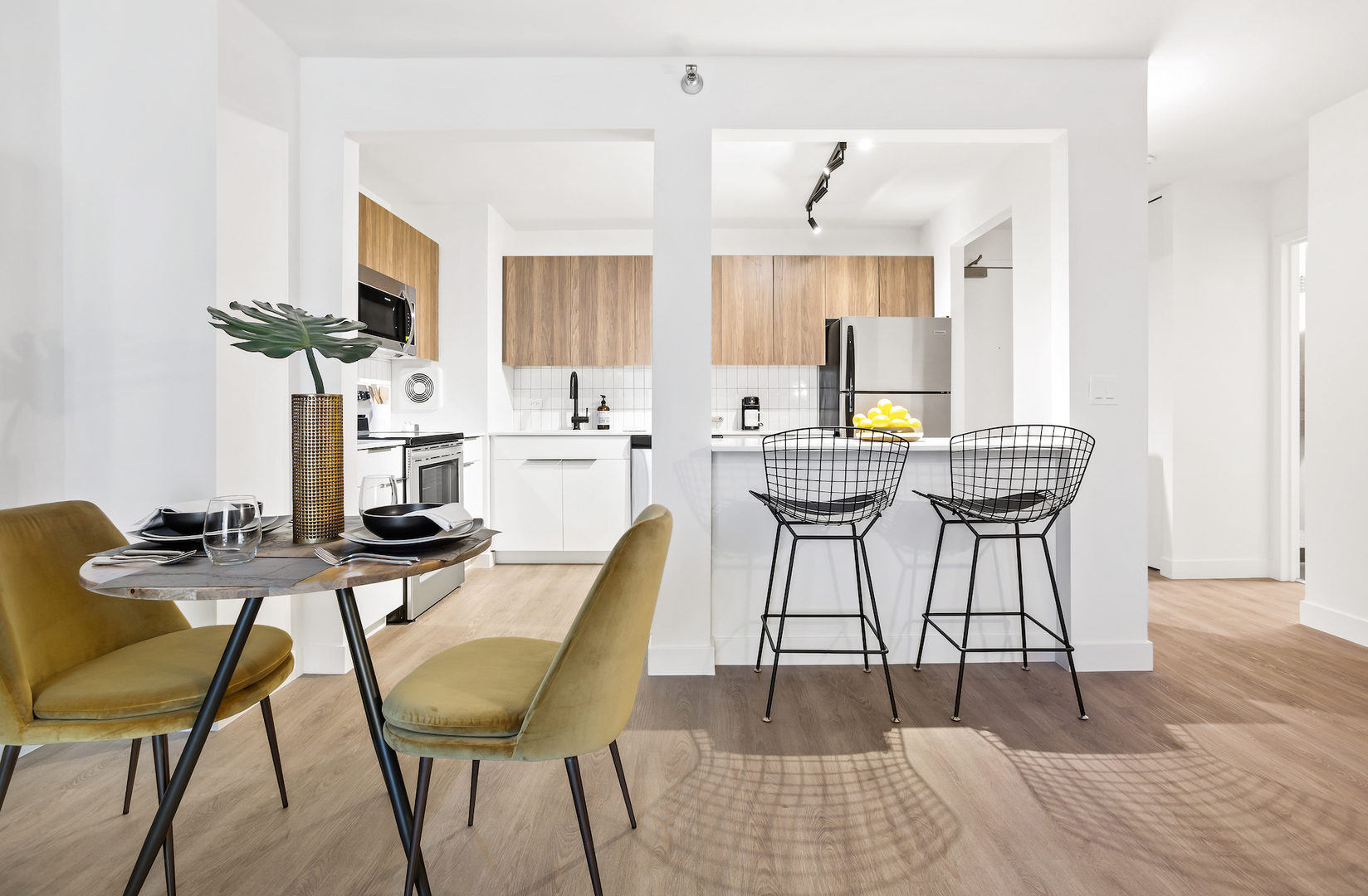 1250 N LaSalle Street 1008