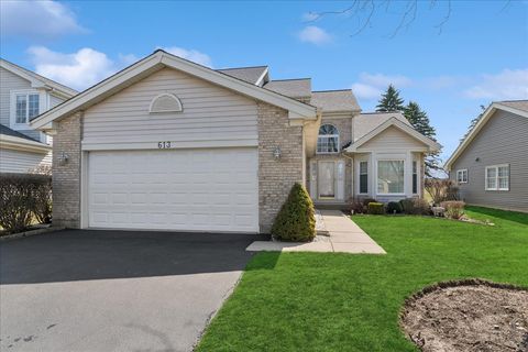 613 Rose Lane Bartlett IL 60103