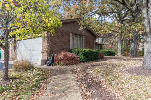 A home in Homer Glen