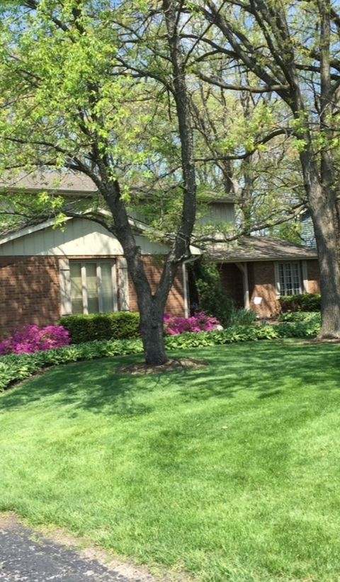 A home in Homer Glen