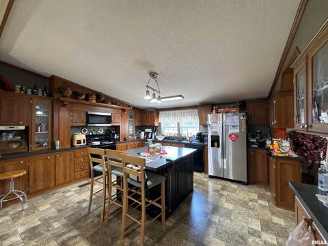 Tiny photo for 3920 Herrin Road, Carterville, IL 62918 (MLS # EB459535)