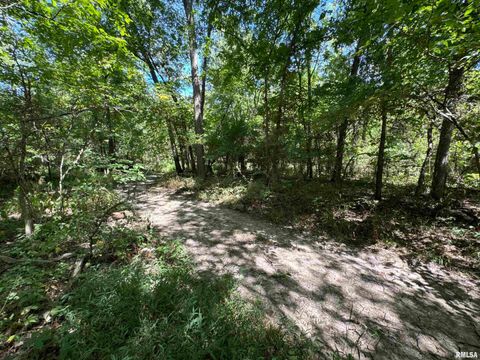 Tiny photo for 3920 Herrin Road, Carterville, IL 62918 (MLS # EB459535)