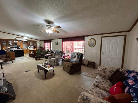 Tiny photo for 3920 Herrin Road, Carterville, IL 62918 (MLS # EB459535)