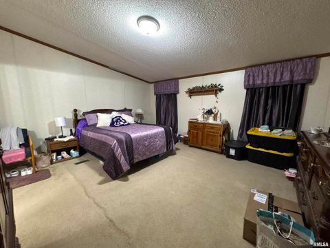 Tiny photo for 3920 Herrin Road, Carterville, IL 62918 (MLS # EB459535)