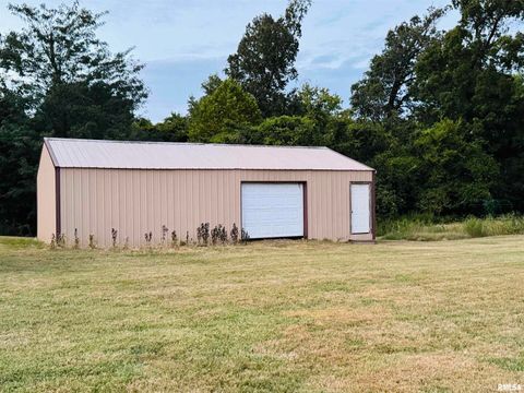 Tiny photo for 3920 Herrin Road, Carterville, IL 62918 (MLS # EB459535)