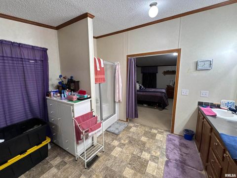 Tiny photo for 3920 Herrin Road, Carterville, IL 62918 (MLS # EB459535)