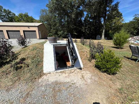 Tiny photo for 3920 Herrin Road, Carterville, IL 62918 (MLS # EB459535)