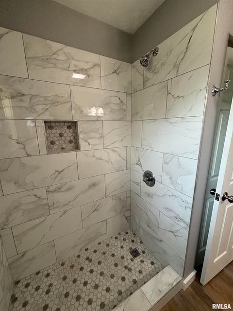 Tiny photo for 710 Catherine St Street, Metropolis, IL 62960 (MLS # EB458522)