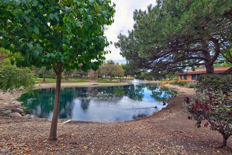 Tiny photo for 1206 S New Wilke Road #403, Arlington Heights, IL 60005 (MLS # 12771323)